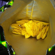 Image for article titled College Students Float on Bags of Potato Chips